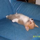 사각사각 이미지