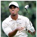 강호 프로짐 이미지