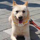 리버하우스 이미지