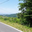 김병석공인중개사사무소 이미지