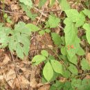 둔내농장 이미지