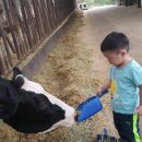 현우목장 이미지