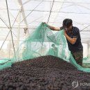 커피온다 이미지