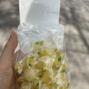 금단영 | [올리브영 임산부 입덧캔디 추천🍬] 페르레디솔레 포지타노 레몬캔디 vs 리콜라 레몬캔디(내돈내산)