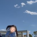 스테이 인 블루 이미지