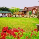 풀내음하우스 이미지