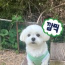 팝스노래방 이미지
