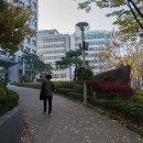 서울시청 서소문별관 이미지