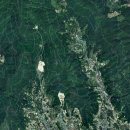 신세계부동산중개 이미지