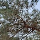 도원운학로 이미지