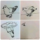(주)코테나