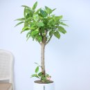 원당 한미 태권도장 이미지