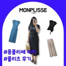 주식회사 롱아이티방송 | 몽플리쎄파리 후기 / 2-30대 플리츠 옷 추천