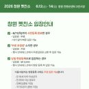 친솔