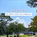 디그르르 이미지