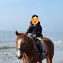 휘게팜 이미지