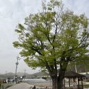 삼지수변공원 이미지