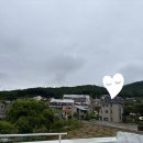 긴뿌리농장 | 비 온 뒤 폭풍성장한 텃밭 근황｜옥수수·단호박·수박·아스파라거스 성장일기