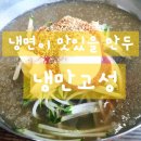 냉만고성 | 강원도 고성 냉면맛집 수제왕만두가 있는 냉만고성
