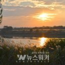도심속의들녘