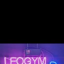 LEO GYM 이미지