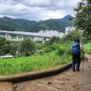 서부초등학교 정문 이미지