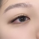 제인 속눈썹 네이버블로그