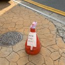 오서목장 | 2025, Nov