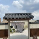 고목림