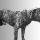 Awesome kennel 이미지