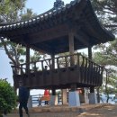 낙동강 유채단지 이미지