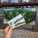 위드미 화성효행로점 | 아이랑 가볼만한 곳 화성 융건릉 다자녀 혜택, 주차 정보