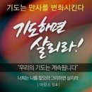 영흥라이브까페