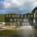 스테이그랴 | [전북 무주] 무주 아이랑 갈 곳 다시 가도 좋은 볼 것 많고 즐길 거리 많은 &#39;태권도원&#39; 깨알 꿀팁