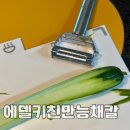 에델키친 스테인리스 채칼 솔직 후기 만능채칼 파채칼