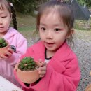 자연나라 이미지