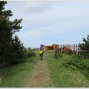 말미목장 이미지