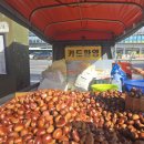 둔촌역 | 둔촌역 앞 트럭 밤 후기 🍂