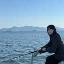 아그리나 D 이미지