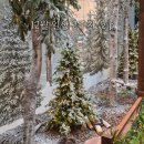 이마트24 지영로드점 | [일상] 12월 2주차 - 카페 핖, 더현대 대구 크리스마스, 영화 윗집사람들, 벨로드민 레슨, 다독임