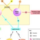 아름건강한의원 이미지