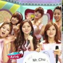 미스터츄 인사이트