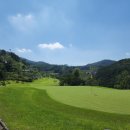 일레븐CC 이미지