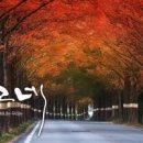 나그네일