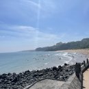 에스비팜 | 제주도서핑 하기전 파도 미리 보는법