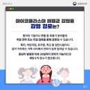 마이코 이미지