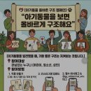 야생과