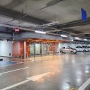 과천시 과천동마을회관 | 과천 지정타 발레, 를르베 발레학원 취미성인발레 후기