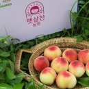 햇살찬농장 이미지