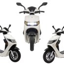 대상디앤에이 이미지